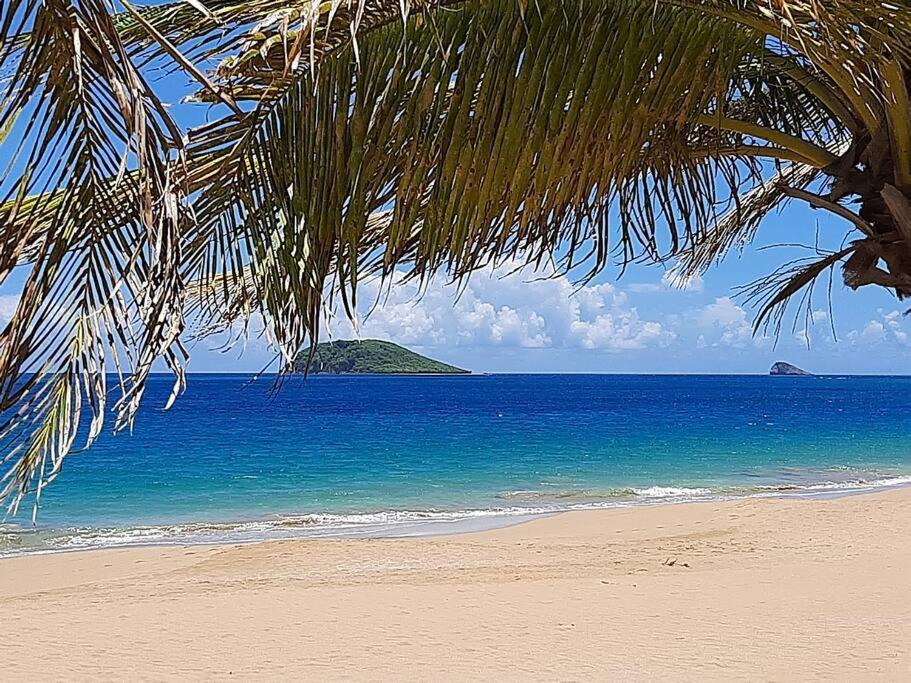 Caraibes Cottage Grenat Piscine Privee 900M De Grande Anse Deshaies Buitenkant foto