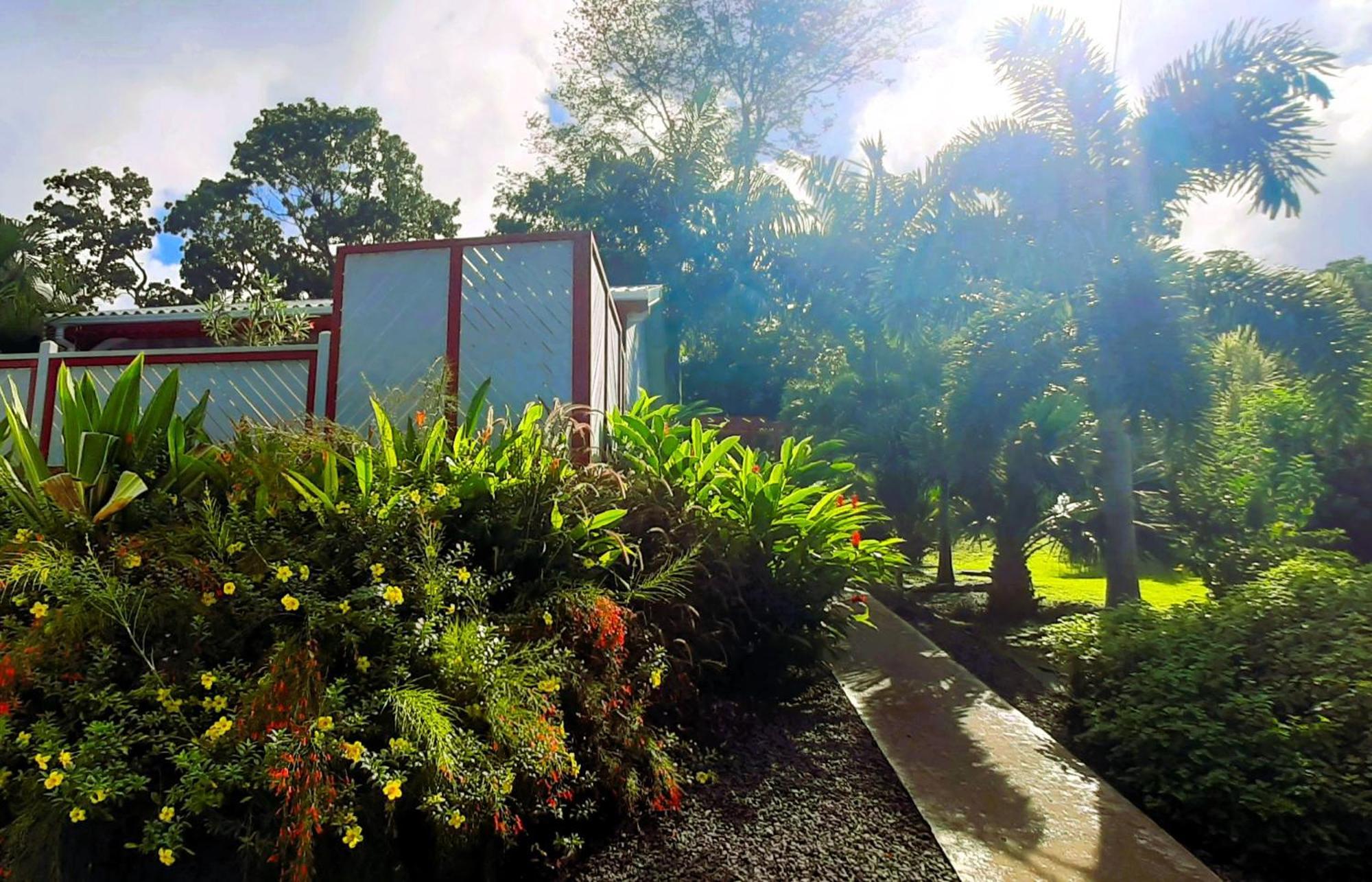 Caraibes Cottage Grenat Piscine Privee 900M De Grande Anse Deshaies Buitenkant foto