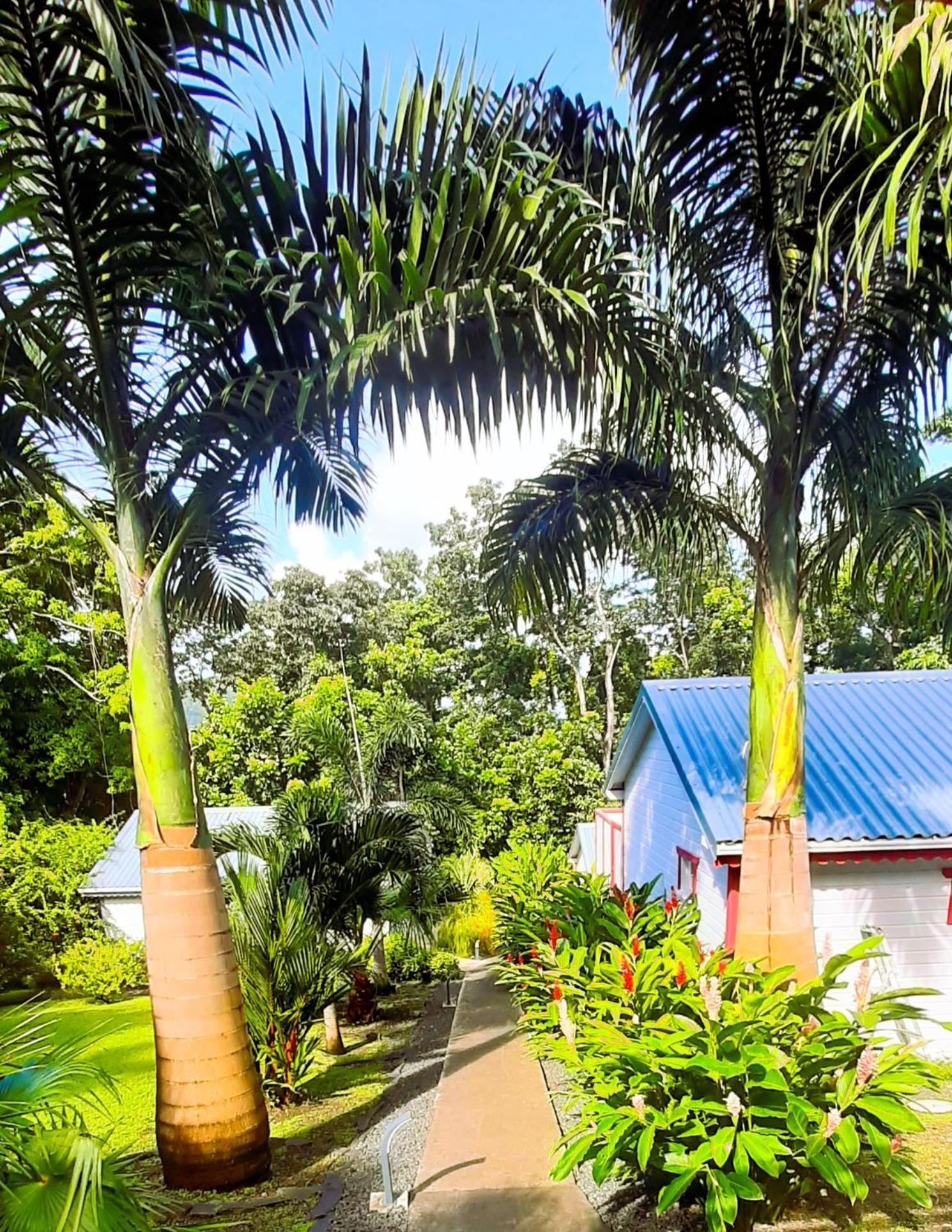 Caraibes Cottage Grenat Piscine Privee 900M De Grande Anse Deshaies Buitenkant foto