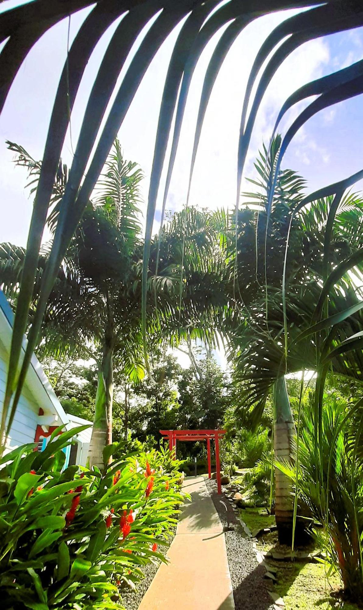Caraibes Cottage Grenat Piscine Privee 900M De Grande Anse Deshaies Buitenkant foto