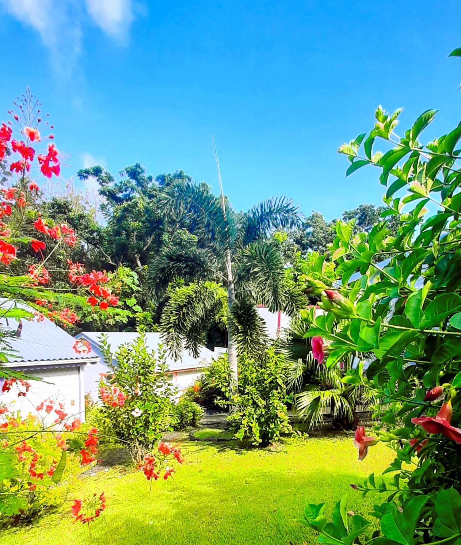 Caraibes Cottage Grenat Piscine Privee 900M De Grande Anse Deshaies Buitenkant foto